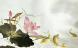 冬季放生經(jīng)驗(yàn)分享 冬季放生經(jīng)驗(yàn)分享