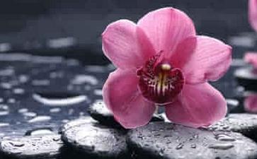 ӏVY(ji)ƾ
