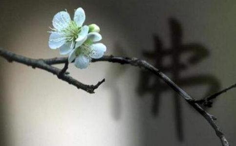 ڼҾʿγ䌍