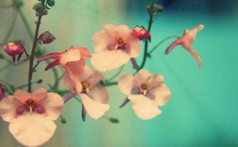 ڬF(xin)Ӯ(dng)һʿ