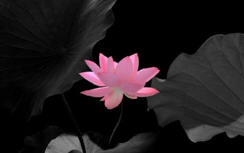 Ҫ編t韩ͺܴ