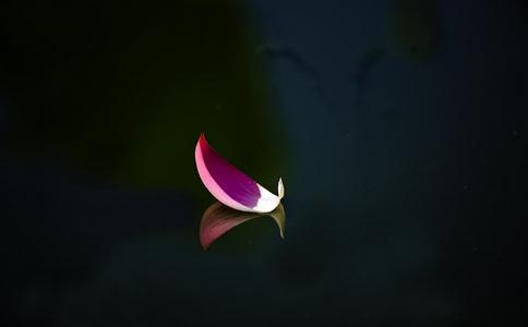 ʲôǷfġȡأ