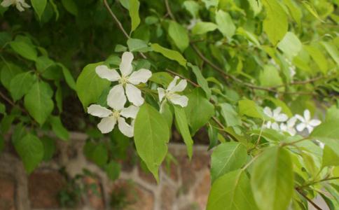 人生旅途的包袱不應(yīng)該越來越重
