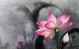 “人若無心處處閑”的禪者心境