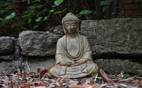 學(xué)修經(jīng)典、佛法時，要學(xué)會“用心”