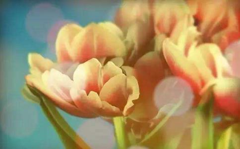 ĕrǈԳx