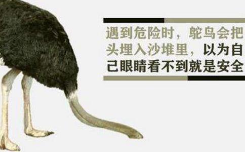 澳yܼl(f) BđB(ti)֡ԾĹ