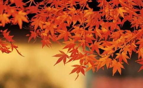 苦非苦，樂非樂，一時執(zhí)念而已