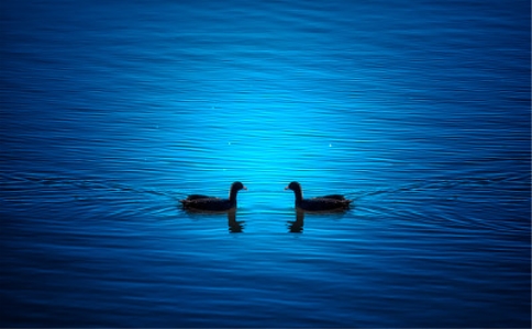 ɽǷf_Đ
