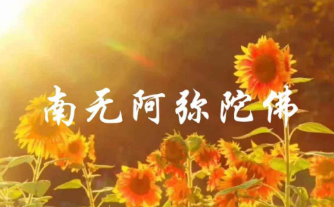一句阿彌陀佛便是最好的念佛法門