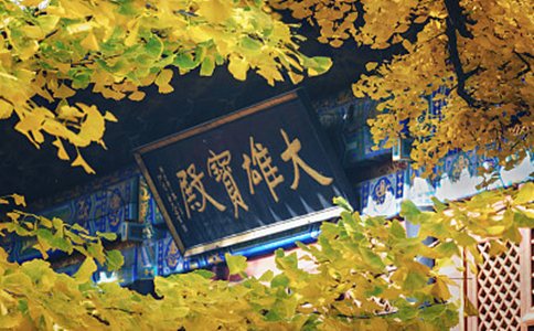 یĴʲô˼