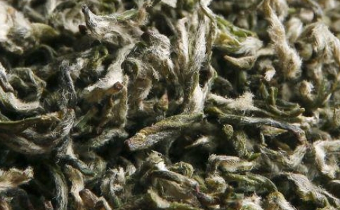 都勻毛尖是什么茶？都勻毛尖茶的產(chǎn)地與簡介