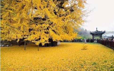 腳踏實(shí)地 堅(jiān)持不懈