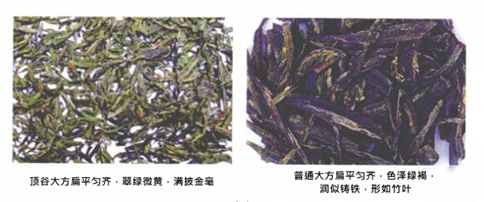󷽲ʲôa(chn)cʲô^(q)e