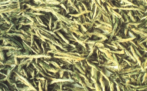 陽(yáng)羨雪芽是什么茶？宜興陽(yáng)羨雪芽介紹