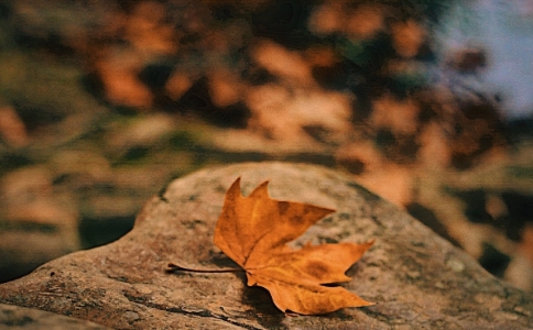 明海法師：快樂(lè)或悲傷，只是一個(gè)無(wú)常的變換