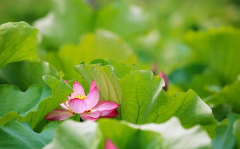 恒傳法師：修行就在當(dāng)下