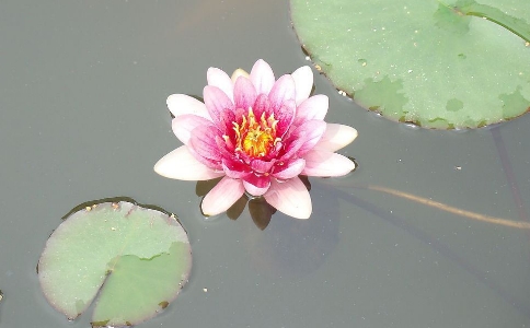 編ޟoքeǸʲôأ