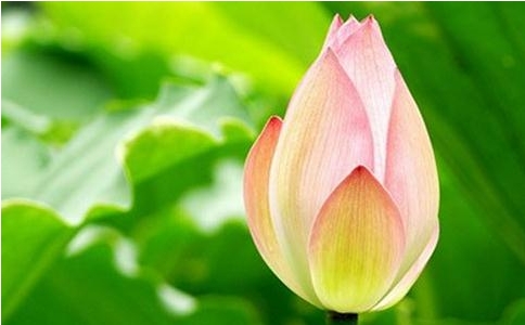 編ʲôǔքeеĲƽȣޟo(w)քe
