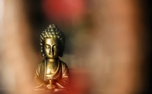 智隨法師：專(zhuān)修念佛的人還要學(xué)習(xí)佛法嗎？學(xué)法和念佛的關(guān)系