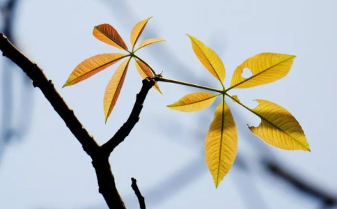 靜波法師：培養(yǎng)不執(zhí)著的能力