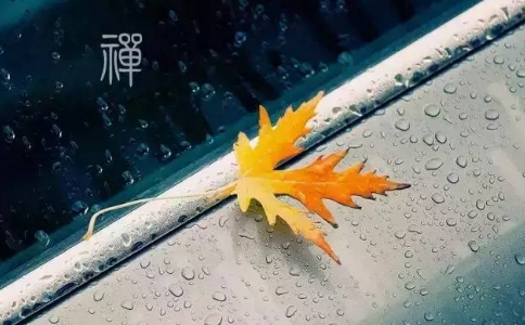 凈界法師：“無(wú)念”是完全沒(méi)有念頭還是還有善念？