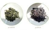 烏龍茶是什么茶？