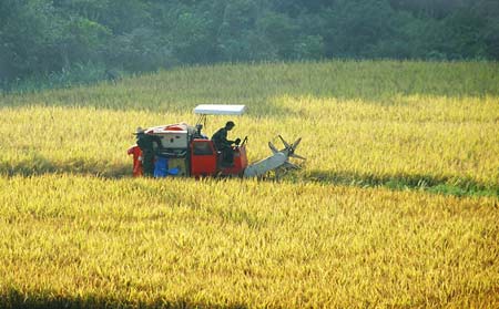 佛理禪機(jī):天下沒(méi)有不勞而獲的東西
