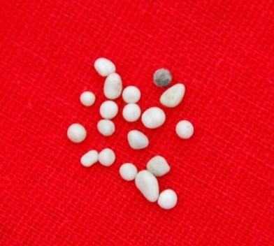 峨眉山通孝長(zhǎng)老舍利